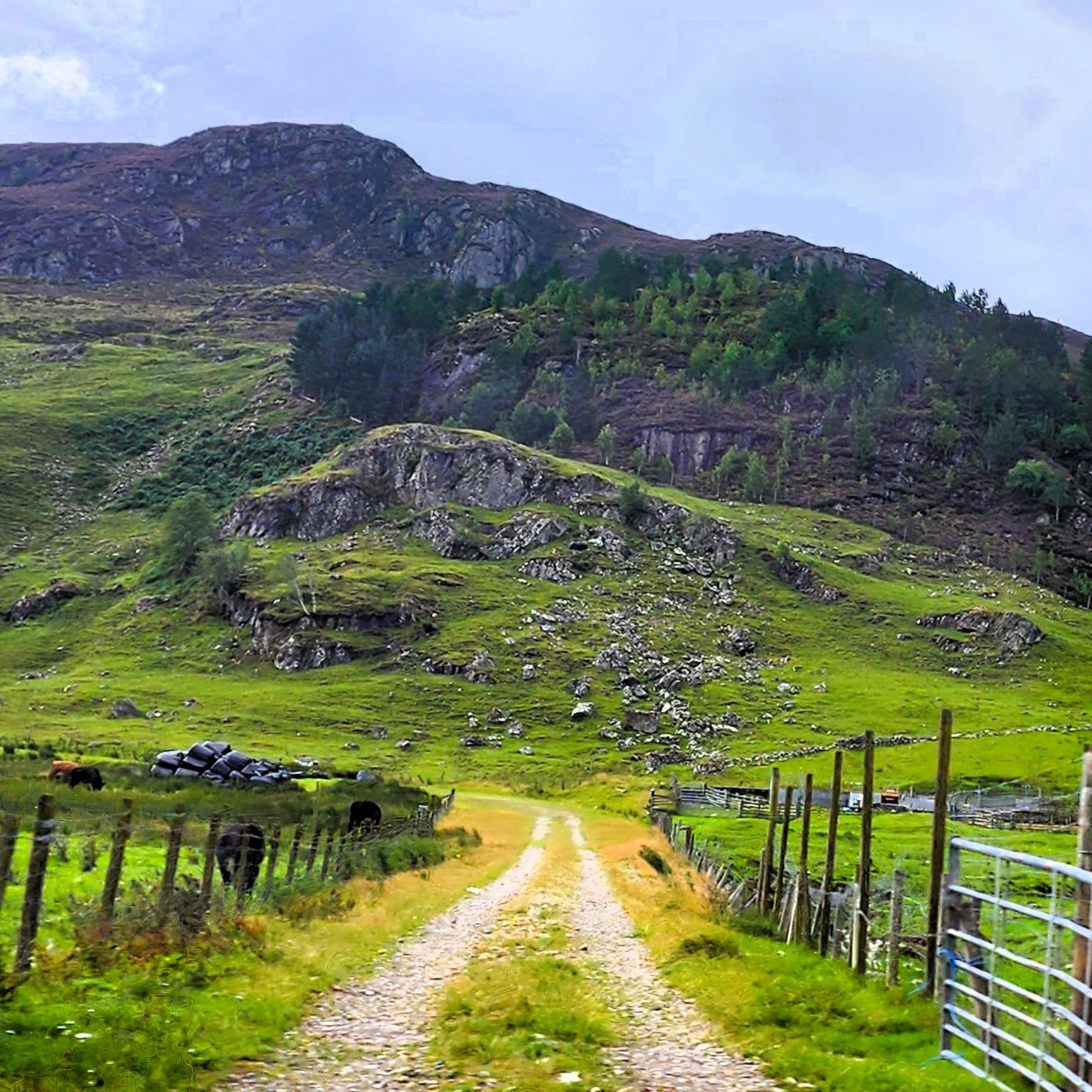 Scotland