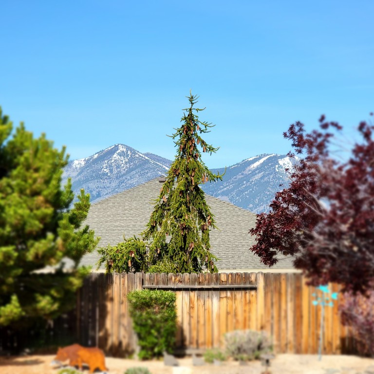 Nevada
